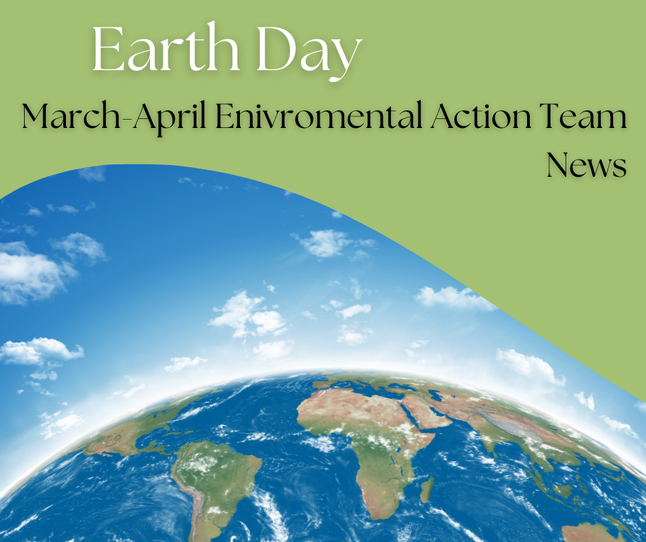 Image of food waste on a green and white background with text: Green tip of the month- Let's work on reducing food waste in the new year,