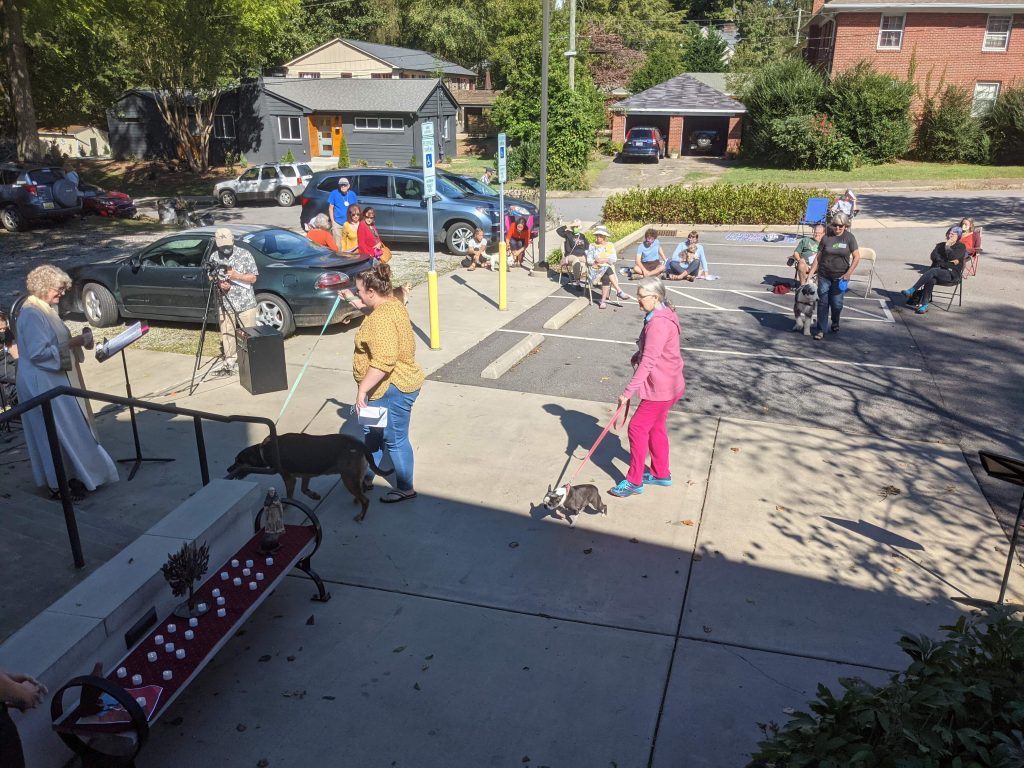 Photo of long shot of a few people gathered at our parking lot with their dogs.