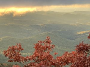 In the foreground are the leaves of a tree that have turned red in the early fall. Beyond that is a sunrise through fog over NC mountains. 